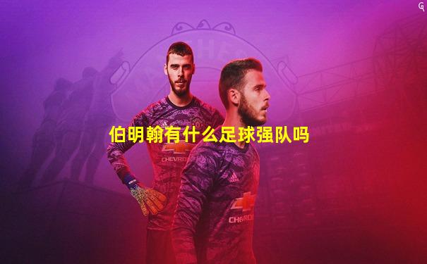 伯明翰有什么足球强队吗