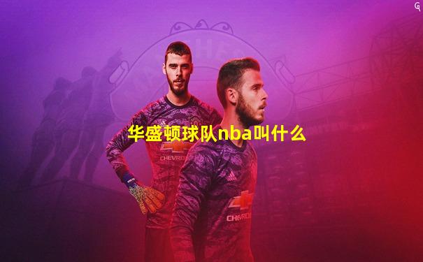 华盛顿球队nba叫什么