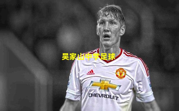 吴家山中学足球