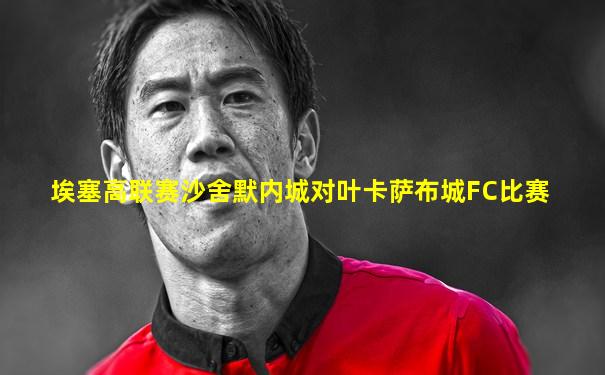 埃塞高联赛沙舍默内城对叶卡萨布城FC比赛