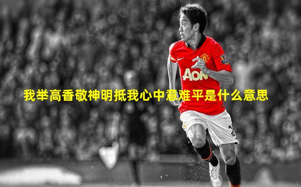 我举高香敬神明抵我心中意难平是什么意思