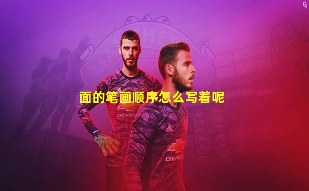 面的笔画顺序怎么写着呢
